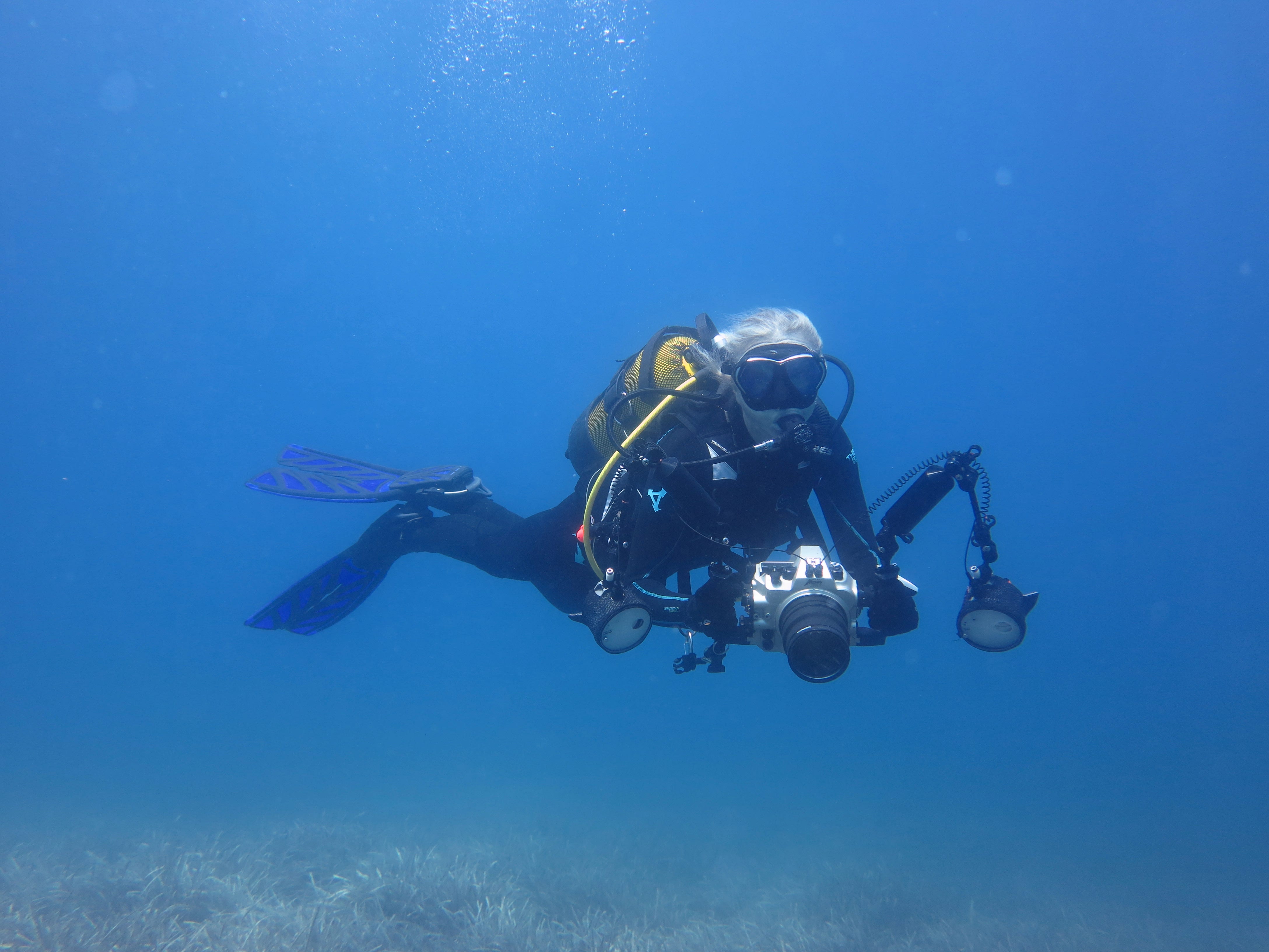 Dalış Gezi Etkinlikleri